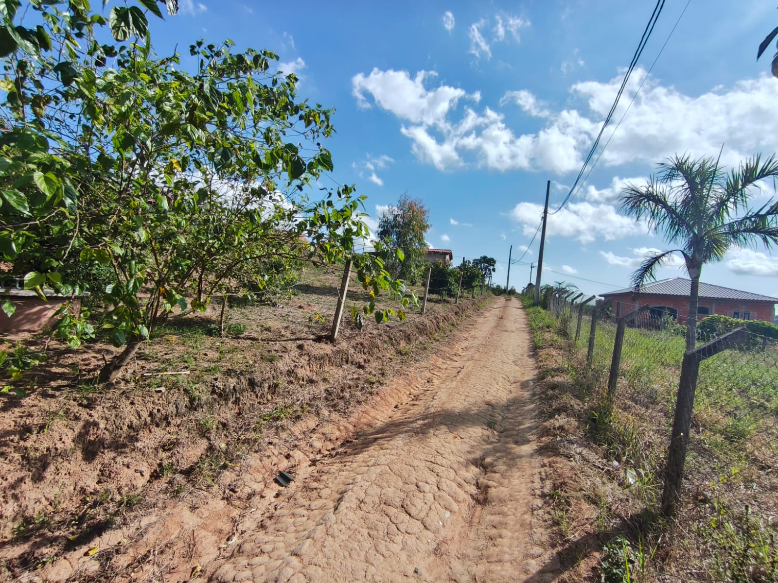 WhatsApp Image 2026-03-27 at 11.07.17