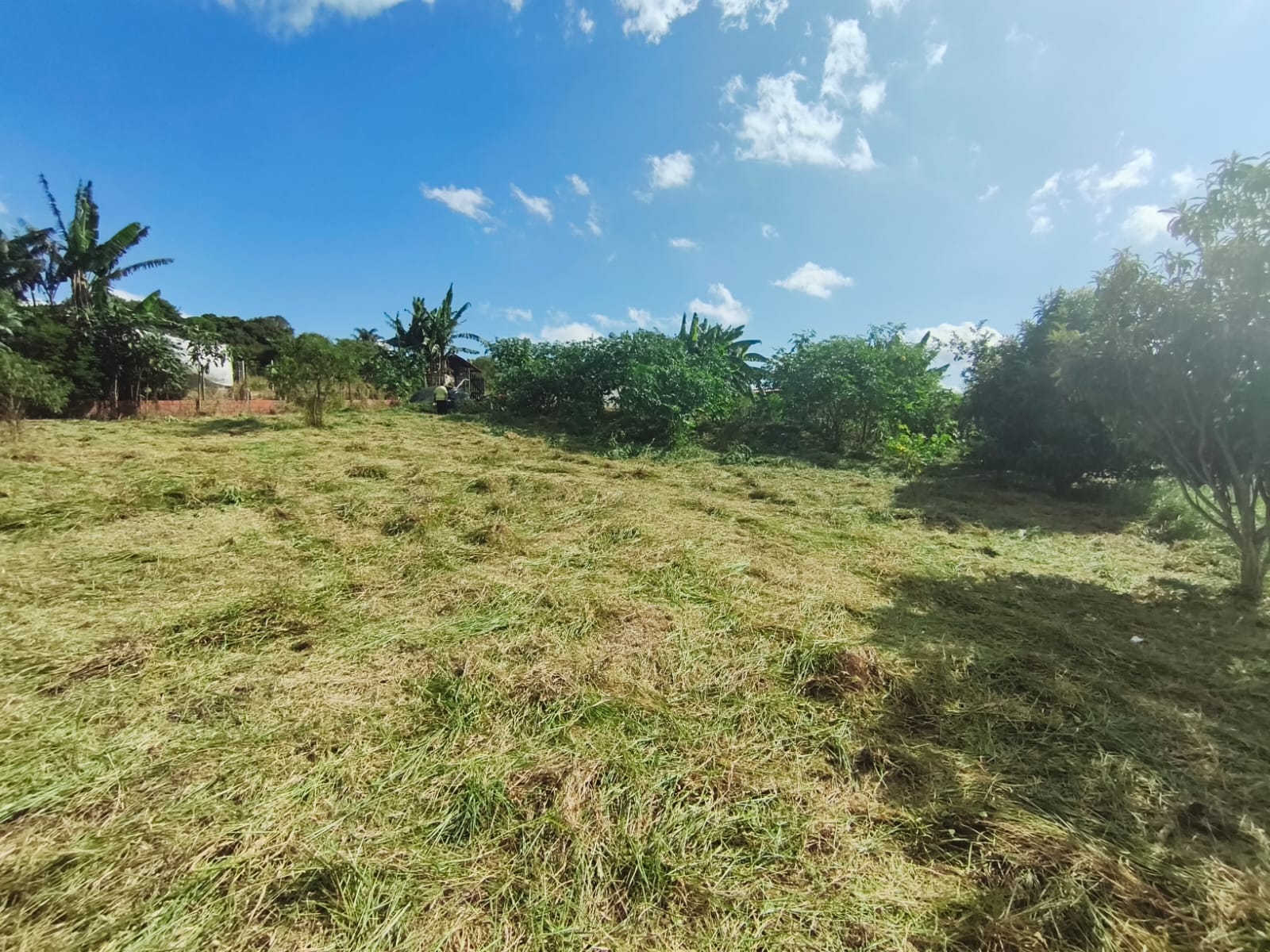 WhatsApp Image 2026-03-27 at 11.07.18 (1)