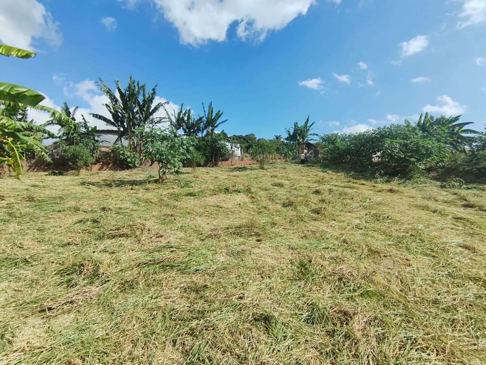 WhatsApp Image 2026-03-27 at 11.07.18