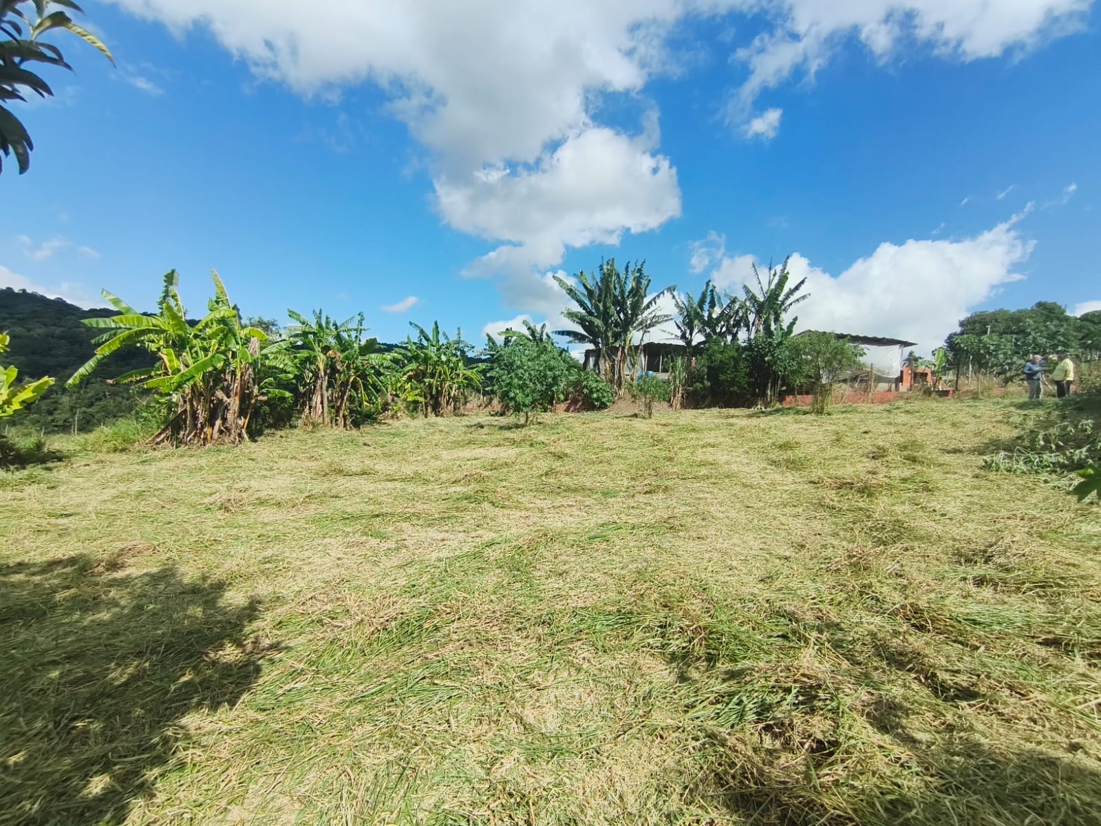 WhatsApp Image 2026-03-27 at 11.07.19 (2)