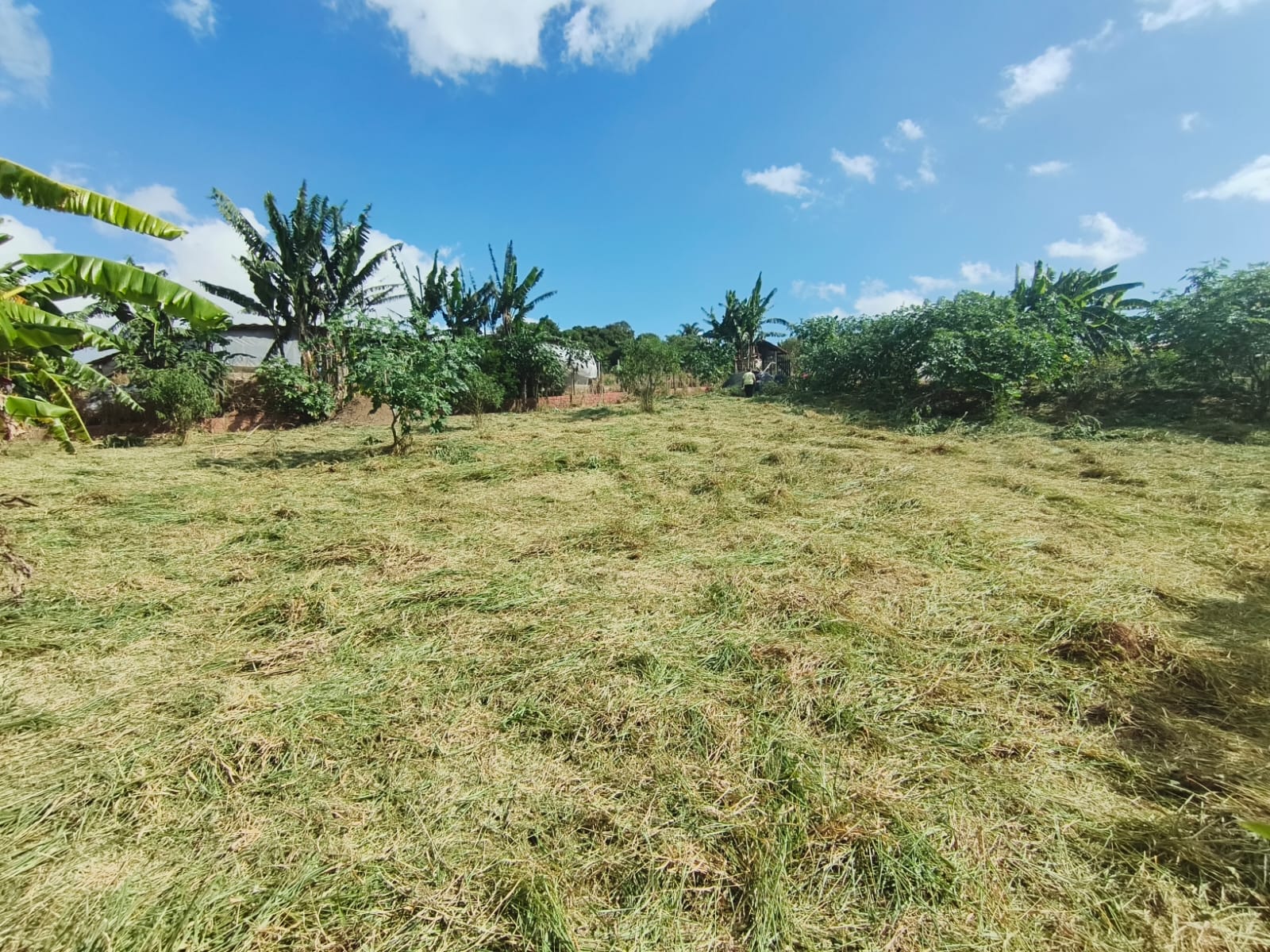 WhatsApp Image 2026-03-27 at 11.07.19