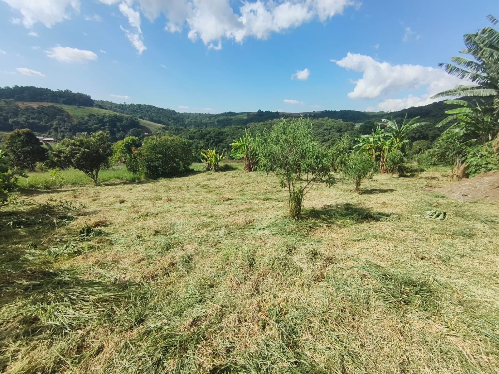 WhatsApp Image 2026-03-27 at 11.07.20