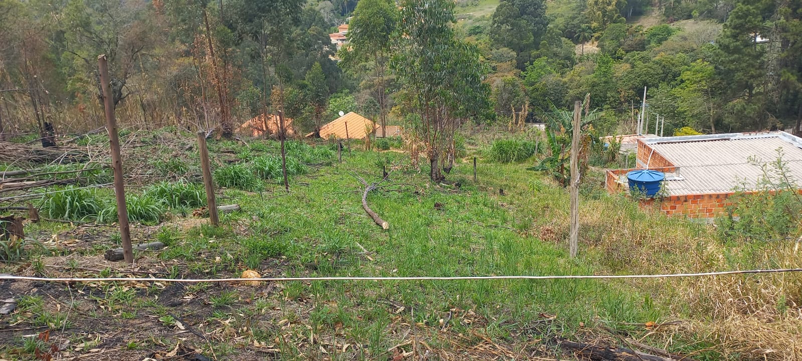 WhatsApp Image 2026-04-06 at 11.58.59